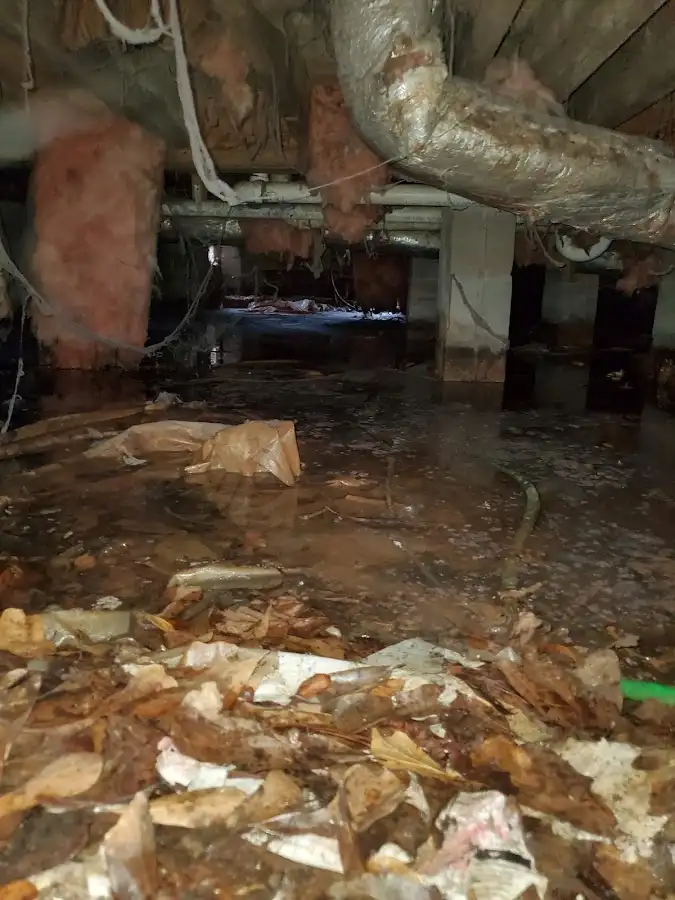 Crawl space flood assessment for Commercial Water Damage Restoration in Williamson